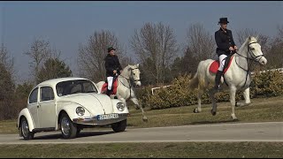 Volkswagen 1200 J Buba iz Vogošće [upl. by Papst]