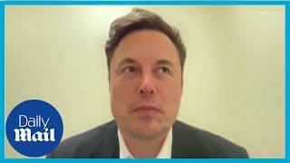 Elon Musk reacts to Twitter Donald Trump and the recession  Qatar Economic Form 2022 [upl. by Ynalem833]