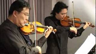 Duo for 2 violins No5Allegro maestosoW A Mozart [upl. by Abran]