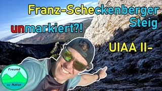 😯Dem NEBEL ENTKOMMEN🔝🌞Brunnkogel 1708m über FranzScheckenbergerSteig UIAA II [upl. by Heppman]