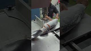 Amazing Australian Salmon Fish Seer Fish King Fish Cutting Skills Machine Except Man [upl. by Ennovehc]