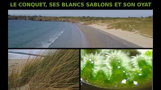 Le Conquet ses blancs sablons et son oyat [upl. by Howland639]