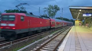 Sichtungen aus Elstal Bergfelde und Glienicke Nordbahn in der Nähe von Berlin [upl. by Ernesta612]