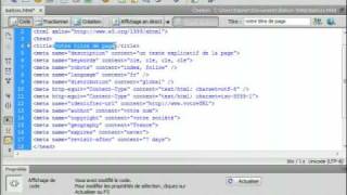 Adobe Dreamweaver CS4  Les balises utiles au référencement [upl. by Karyl793]