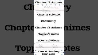 Amines Chapter 13 class 12 chemistry toppers notes ncert solutions class12 neet jee chemistry [upl. by Ancell421]