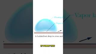 LEIDENFROST EFFECT EXPLAINED in 30 seconds [upl. by Immat]