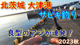 【2023年秋茨城県北茨城市大津港】釣れてます！ 良型のアジがめっちゃ引く！入れ喰い状態になって来たぞぉー。ウキサビキ釣り楽しい♪ [upl. by Vigor]