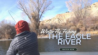 Late Fall Early Winter Fly Fishing on the Eagle River in Colorado Rainbows Browns and whitefish [upl. by Aihcela186]