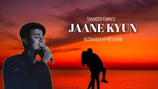 Jaane Kyun  Lofi  TanveerEvan [upl. by Hax175]