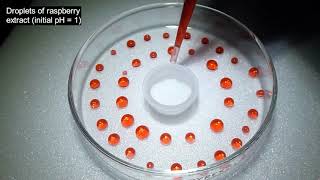 Bleaching Anthocyanins with Sulfur Dioxide [upl. by Ellevart]