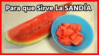 Para qué Sirve La Sandía 🍉 Beneficios y Propiedades de la Sandía [upl. by Netsriik]