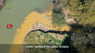 Drini Bardhë me ujra të zeza [upl. by Attiuqal]