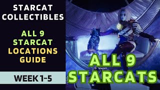 All Starcat Locations Guide  Week 15  Season of the Wish  Destiny 2 [upl. by Eustis701]