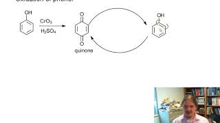 Oxidation of phenol [upl. by Allegna]