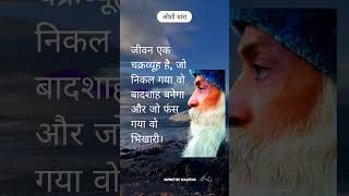 Osho most inspirational speech oshohindipravachan oshomeditation oshomotivationforstudents [upl. by Babara]