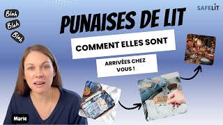 Comment les punaises sont arrivées chez vous [upl. by Spancake498]