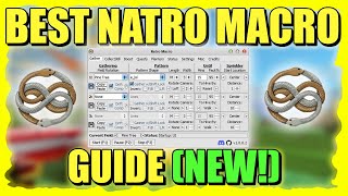 The BEST NATRO MACRO GUIDE In Bee Swarm Simulator 2024 [upl. by Awahsoj732]