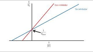 Inhibidores de pcsk9 animacion simple [upl. by Boyce]