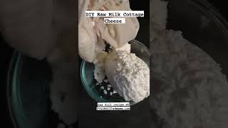 DIY Raw Milk Cottage Cheese Made With Clabbered Milk Naturally Cultured [upl. by Allicsirp]