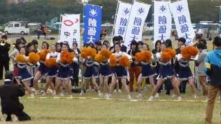 第90回箱根駅伝予選会 創価大学応援シーン [upl. by Vierno]