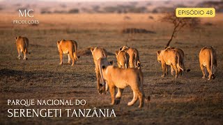 Parque Nacional do Serengeti  Tanzânia [upl. by Guimond]