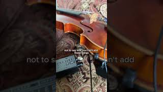 More Schertler Audio 🥳 fyp violin violinist violinpickup schertleraudio [upl. by Xuaegram492]