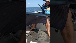 Monster Fish  How did he Get it shorts fishing billfish sailing ocean new today boat new [upl. by Soiritos]