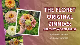 The Floret Original Zinnias Are they worth the  An honest review of 4 new varieties [upl. by Nawyt]