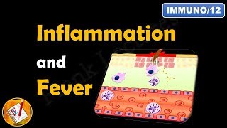 Inflammation or Inflammatory Response FLImmuno12 [upl. by Ecnerat588]