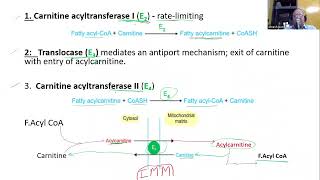 Transport across Mitochondrial Membrane IV Carnitine Shuttle [upl. by Hooke]