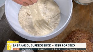 Baka det perfekta surdegsbrödet – steg för steg  Nyhetsmorgon TV4 [upl. by Bathilda]