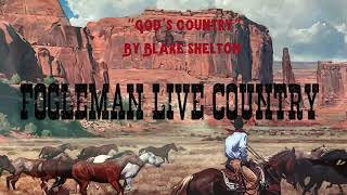 Matt Fogleman Gods Country By Blake Shelton Cover [upl. by Hodge]