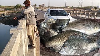 mangrove fishing arjeena part 1  Karachi Pakistan handline fishing video Shakeelfishingfun [upl. by Eerak497]