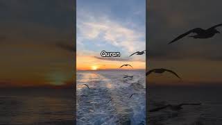 Jannatul firdaus quranurdutranslation shorts viral islamicvideo viralvideo youtuber ytshorts [upl. by Aket]