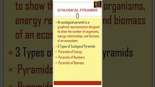 Ecological pyramids  Botanical studies  Dr Varsha S Khude [upl. by Aklog]