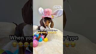 😂🐰When you accidentally type the WRONG EMOJI❌😳 Subscribe for more dog dachshund minidachshund [upl. by Gerick893]