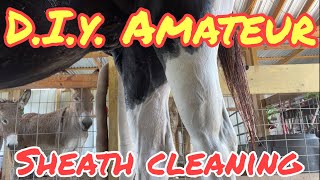 DIY Amateur Horse Sheath Cleaning [upl. by Siol]