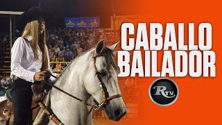 🐴🟠 Caballo Bailador Costarricense de Paso  RysolTV [upl. by Sisco796]