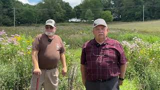 Bobwhite Quail Released [upl. by Kegan716]