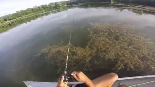 Northern Pike Fishing with Spinnerbaits [upl. by Morty]