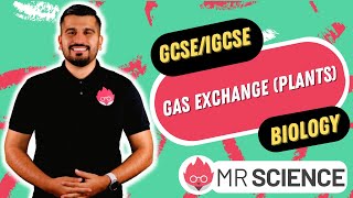 Gas Exchange in Plants  IGCSE Biology  GCSE Biology in 4K  Mr Science [upl. by Atnahsa]