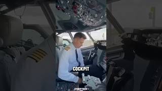 Why the Pilot’s Cockpit Is the Safest Place on a Plane [upl. by Ennovyhc]