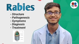 Rabies virus  Management of a dog bite  Community medicine  Microbiology bangla lecture [upl. by Ithnan]