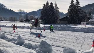 Skijöring in Gstaad [upl. by Acquah]