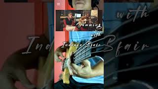 Jamming with Indiara Sfair bassguitars jamming harmonic shorts share [upl. by Ecneralc]