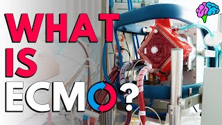 What is ECMO The basics explained [upl. by Cima]