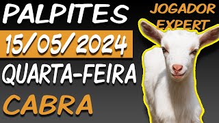 🔴 PALPITE PARA GANHAR NO JOGO DO BICHO 15052024  JOGADOR EXPERT [upl. by Retha]