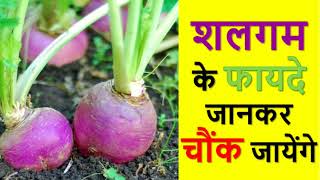 shalgam खाने के हैरान करने वाले फायदे  Surprising Health Benefits of Beet In Hindi [upl. by Tekcirk130]