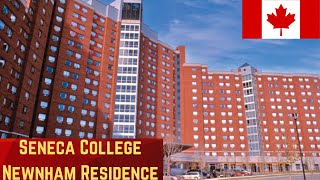 Seneca College Newnham Residence Tour 🇨🇦 [upl. by Nonez]