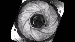 Twophase flow within an Electrical Submersible Pump ESP impeller [upl. by Eserahs89]